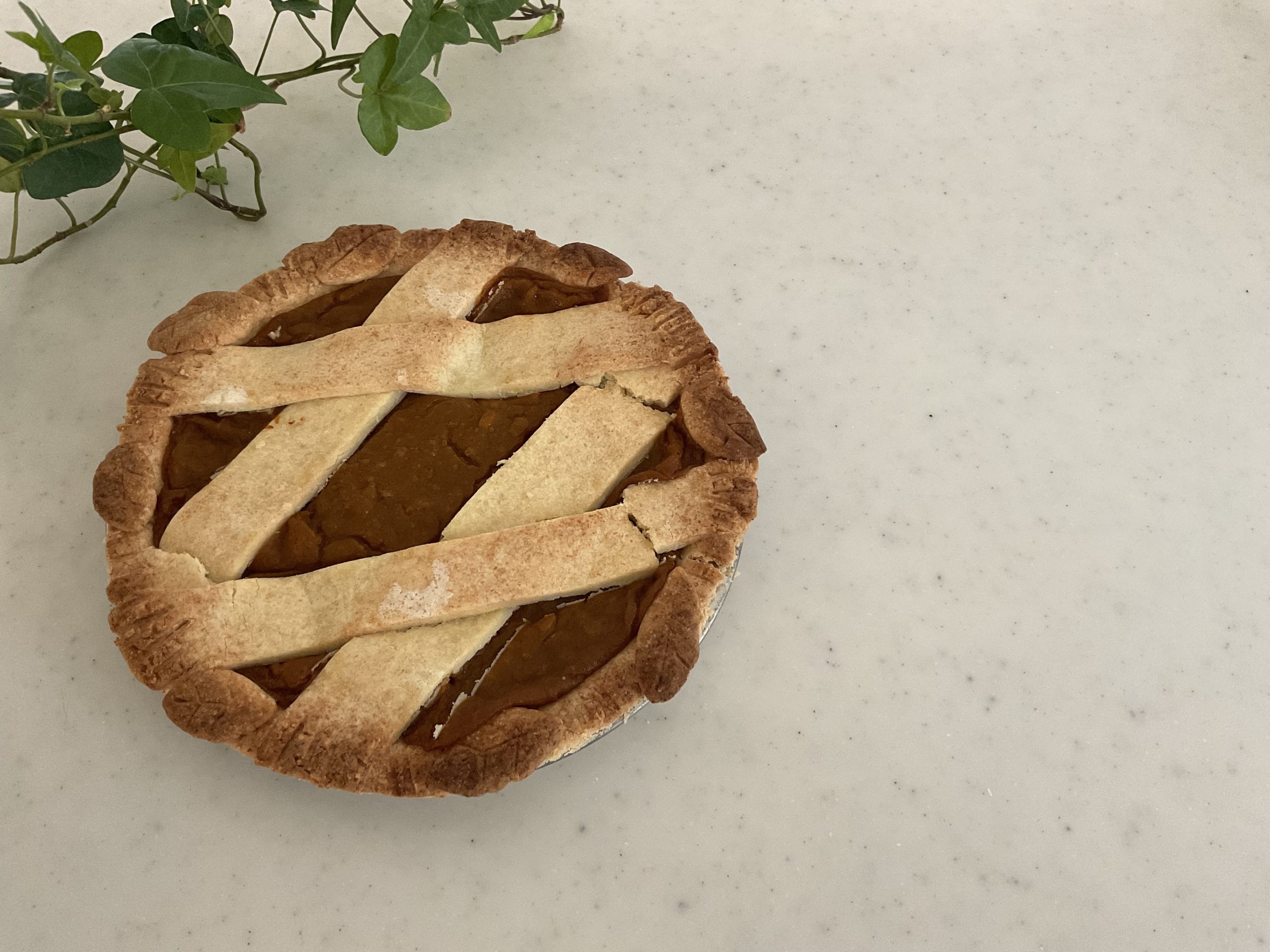 Gluten-free Vegan Pumpkin Pie | Thanksgiving Pie Recipe