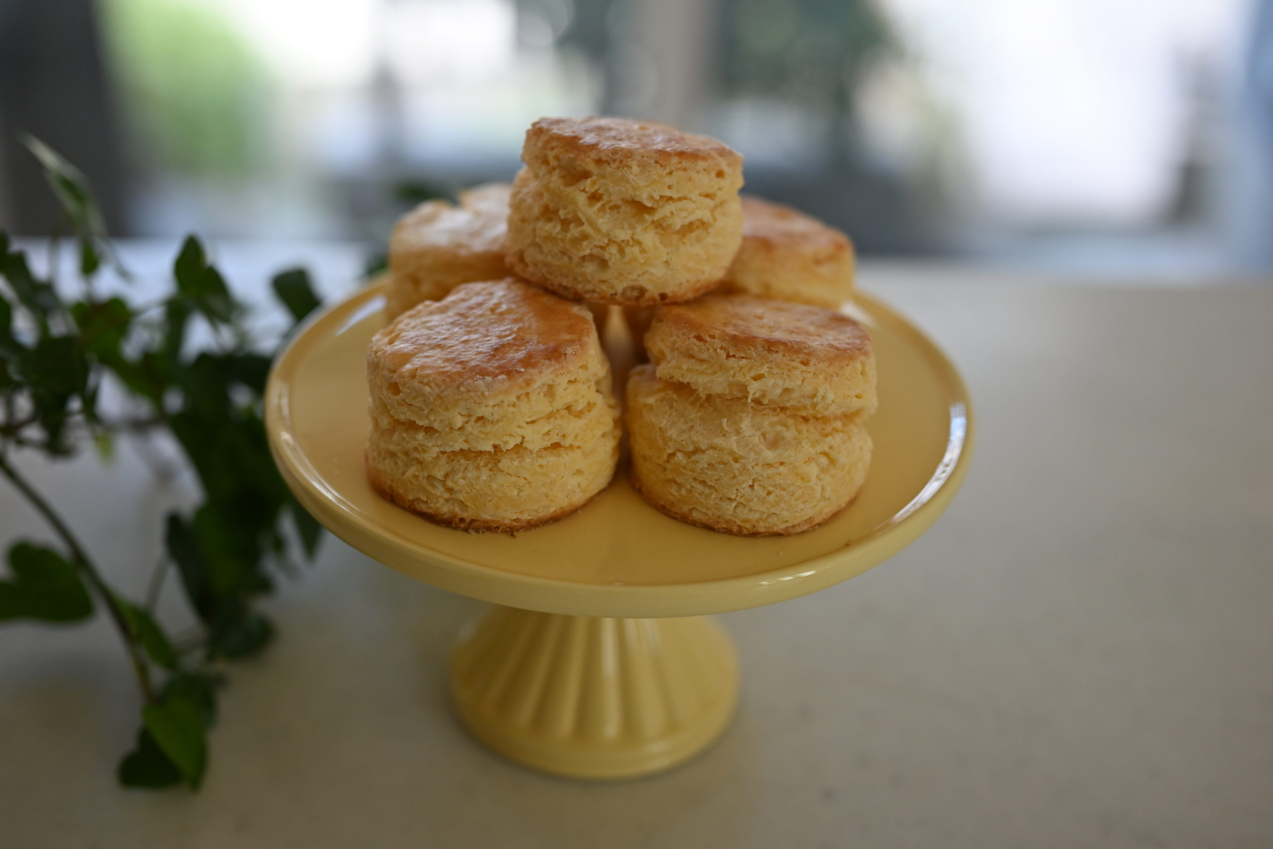 Perfect Classic Scones | Crispy on the outside and Fluffy on the inside!  Not too dry!